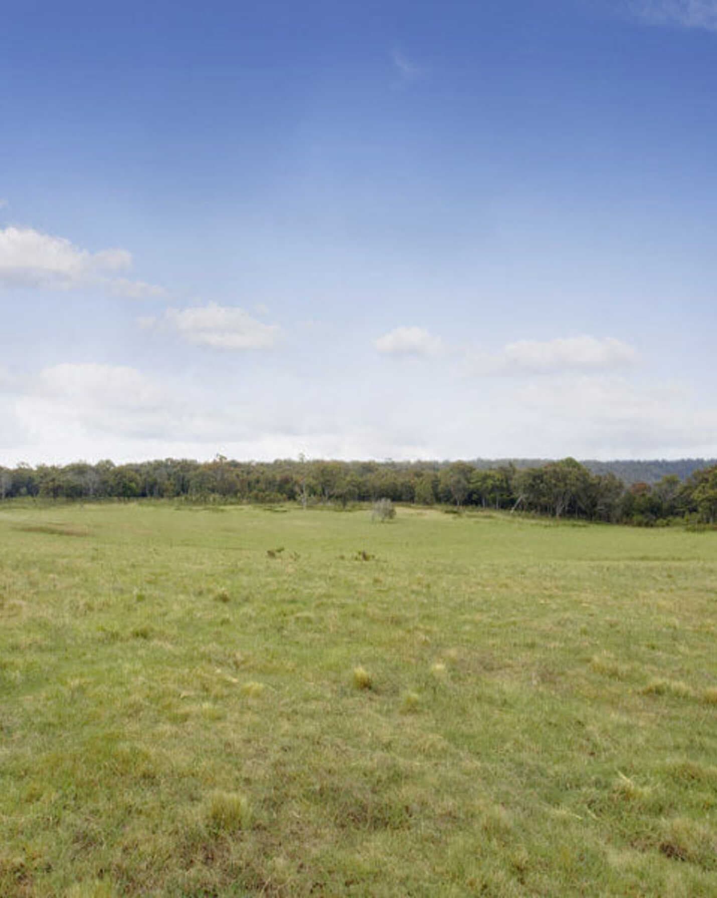 Lot 6 'Wanganderry East' Wombeyan Caves Road High Range, Range - Thumbnail 3