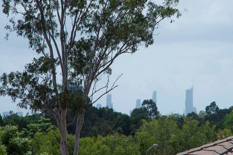 21 Faculty Crescent, Mudgeeraba QLD 4213, Mudgeeraba - Thumbnail 7