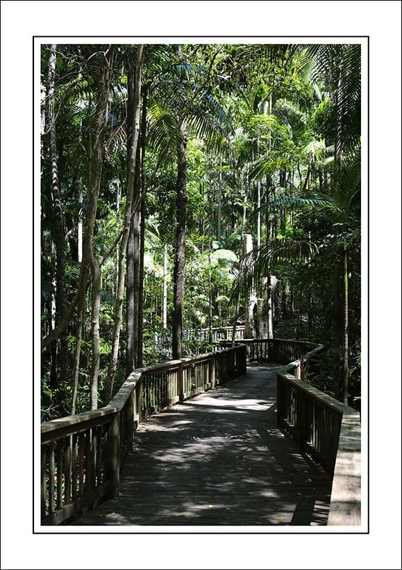 21 Quorn Close, Buderim QLD 4556, Buderim - Thumbnail 2