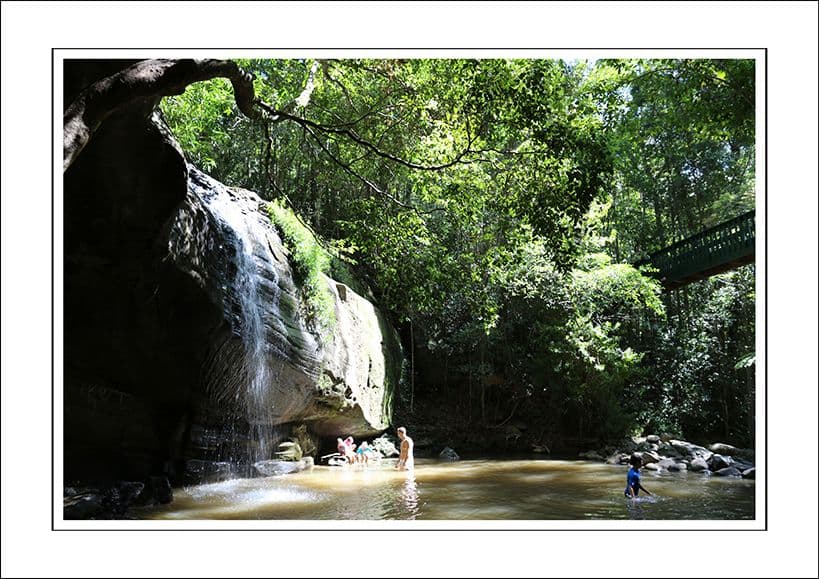 21 Quorn Close, Buderim QLD 4556, Buderim - Thumbnail 3