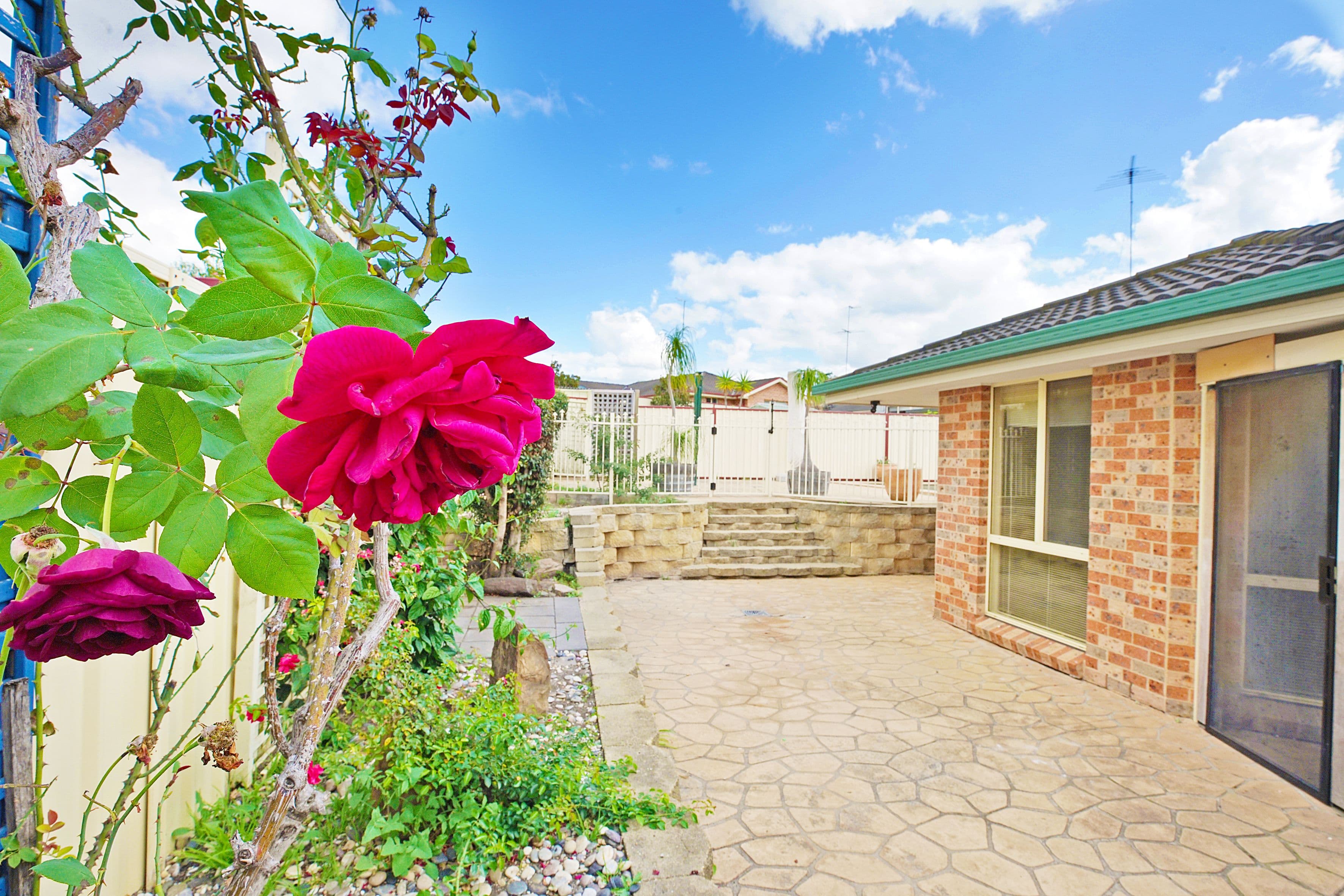 62 Shearwater Drive, Glenmore Park - Thumbnail 8
