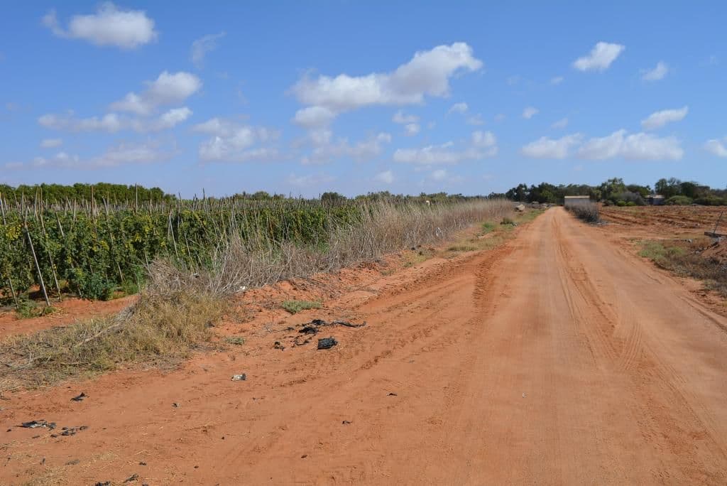 779 North River Road, Carnarvon WA 6701, Carnarvon - Thumbnail 3