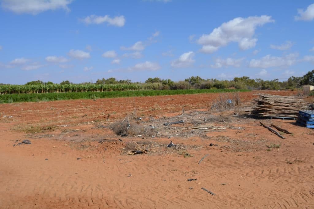 779 North River Road, Carnarvon WA 6701, Carnarvon - Thumbnail 4