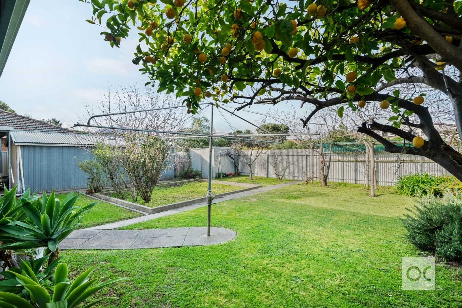 5 Roma Grove, Campbelltown - Thumbnail 3