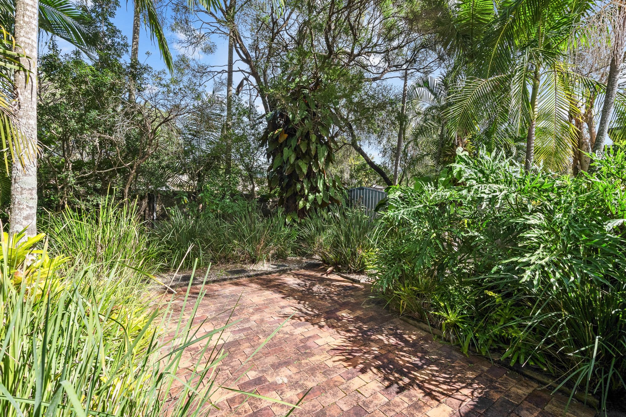 66 Harold Street, Stafford QLD 4053, Stafford - Thumbnail 7