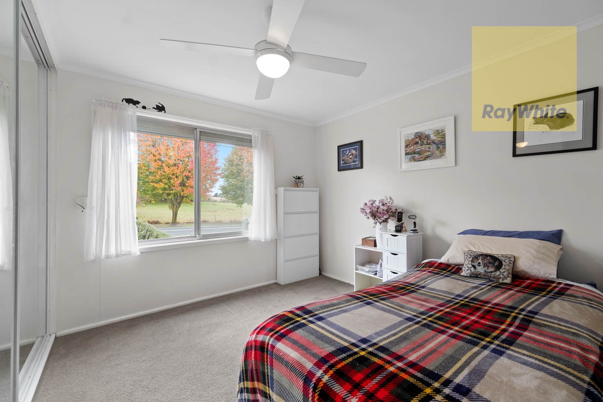 36 Carrington Street, Crookwell NSW 2583, Crookwell - Thumbnail 6
