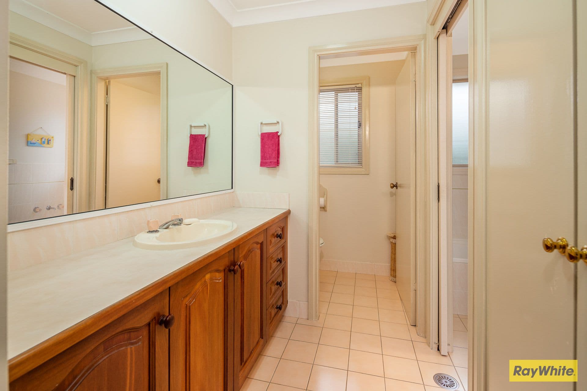 41 Melaleuca Crescent, Catalina NSW 2536, Catalina - Thumbnail 5