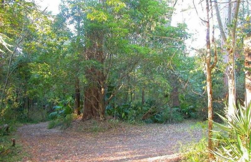 155-157 Burns Road, TURRAMURRA NSW 2074, Turramurra - Thumbnail 4