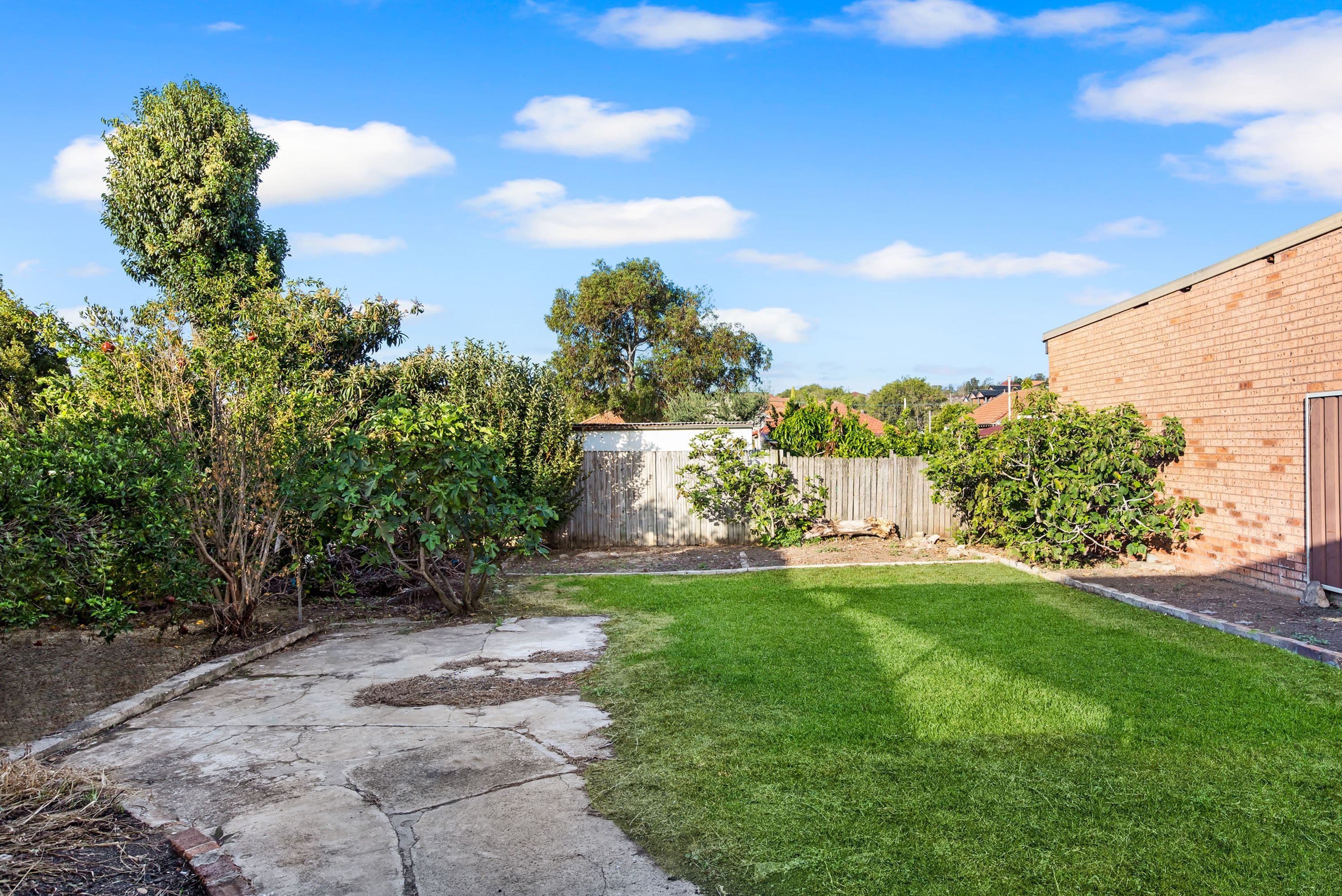 49 Malley Avenue, Earlwood - Image 1