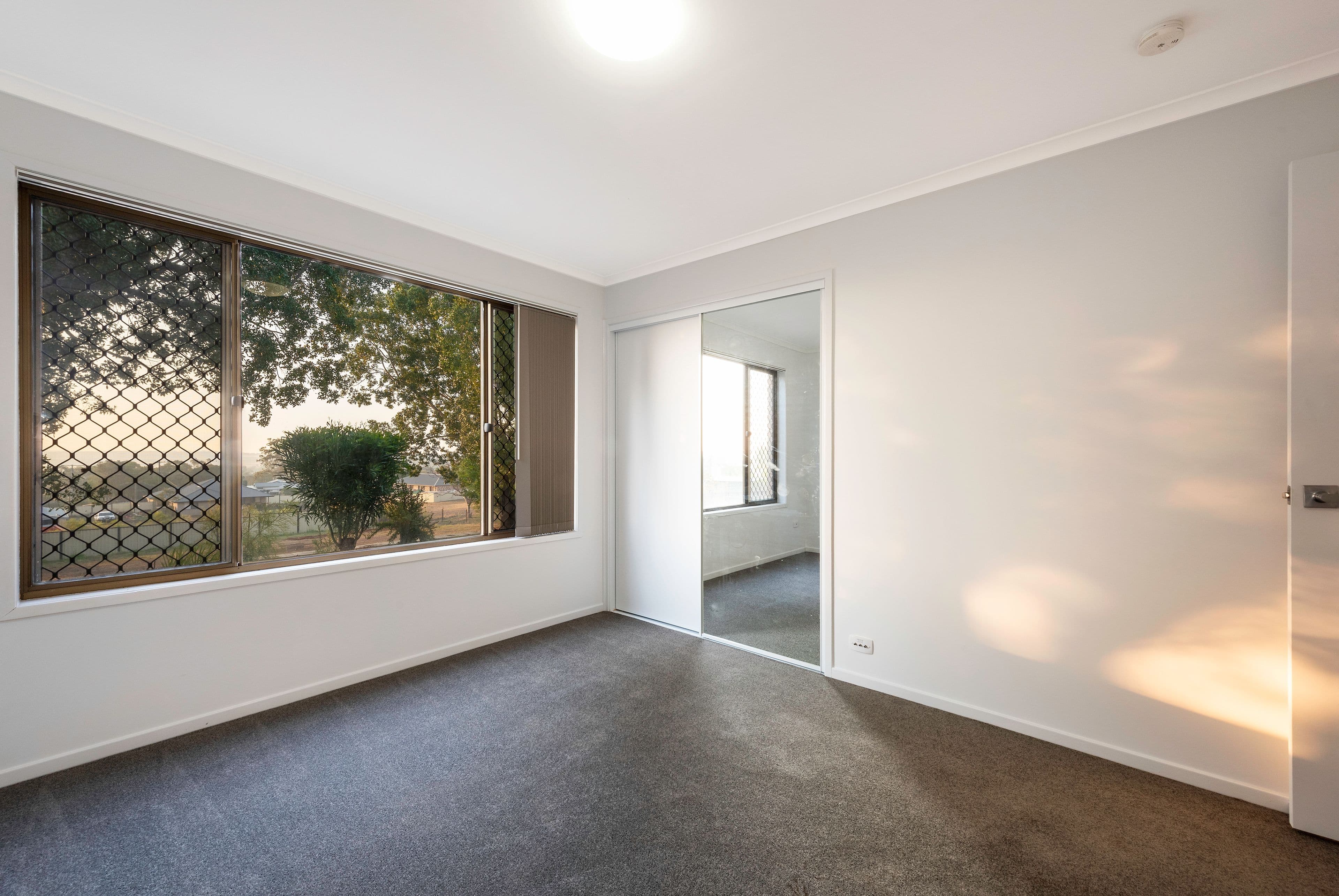 31 Rebwonga Street, Kingsthorpe QLD 4400, Kingsthorpe - Thumbnail 6