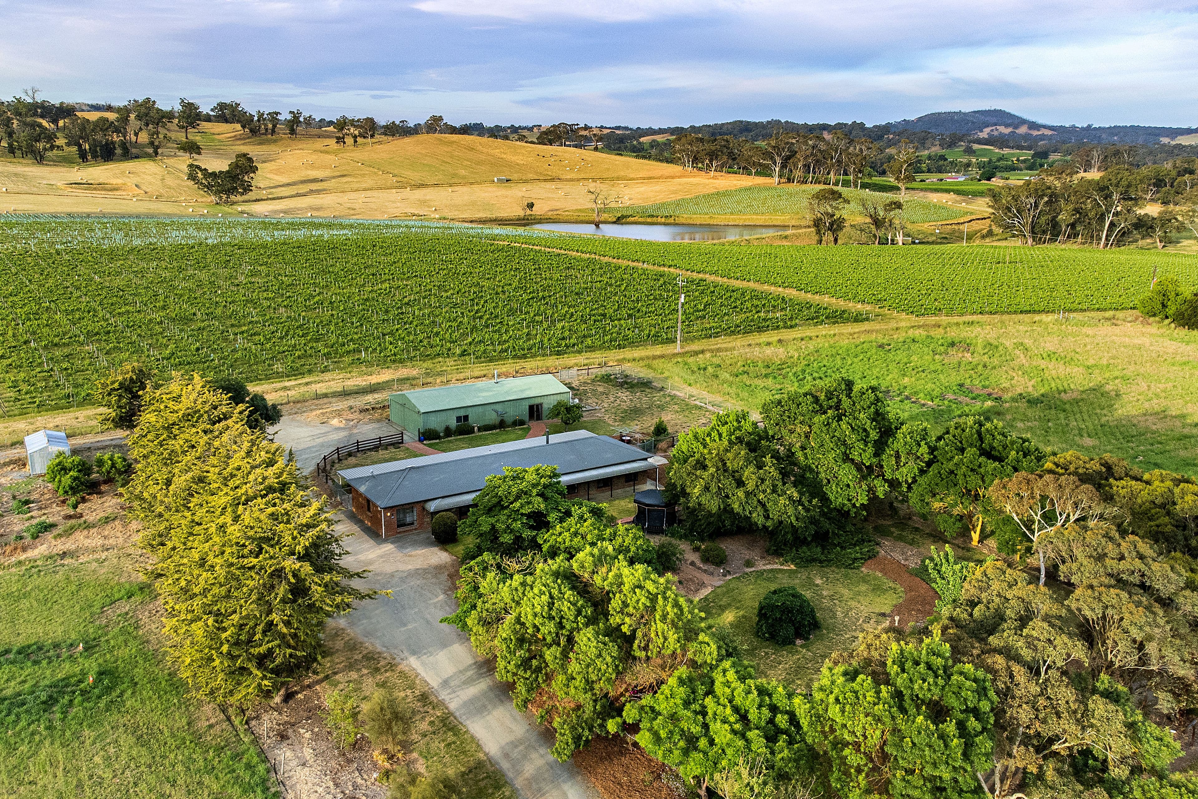 125A Jungfer Road, Charleston SA 5244, Charleston - Thumbnail 3