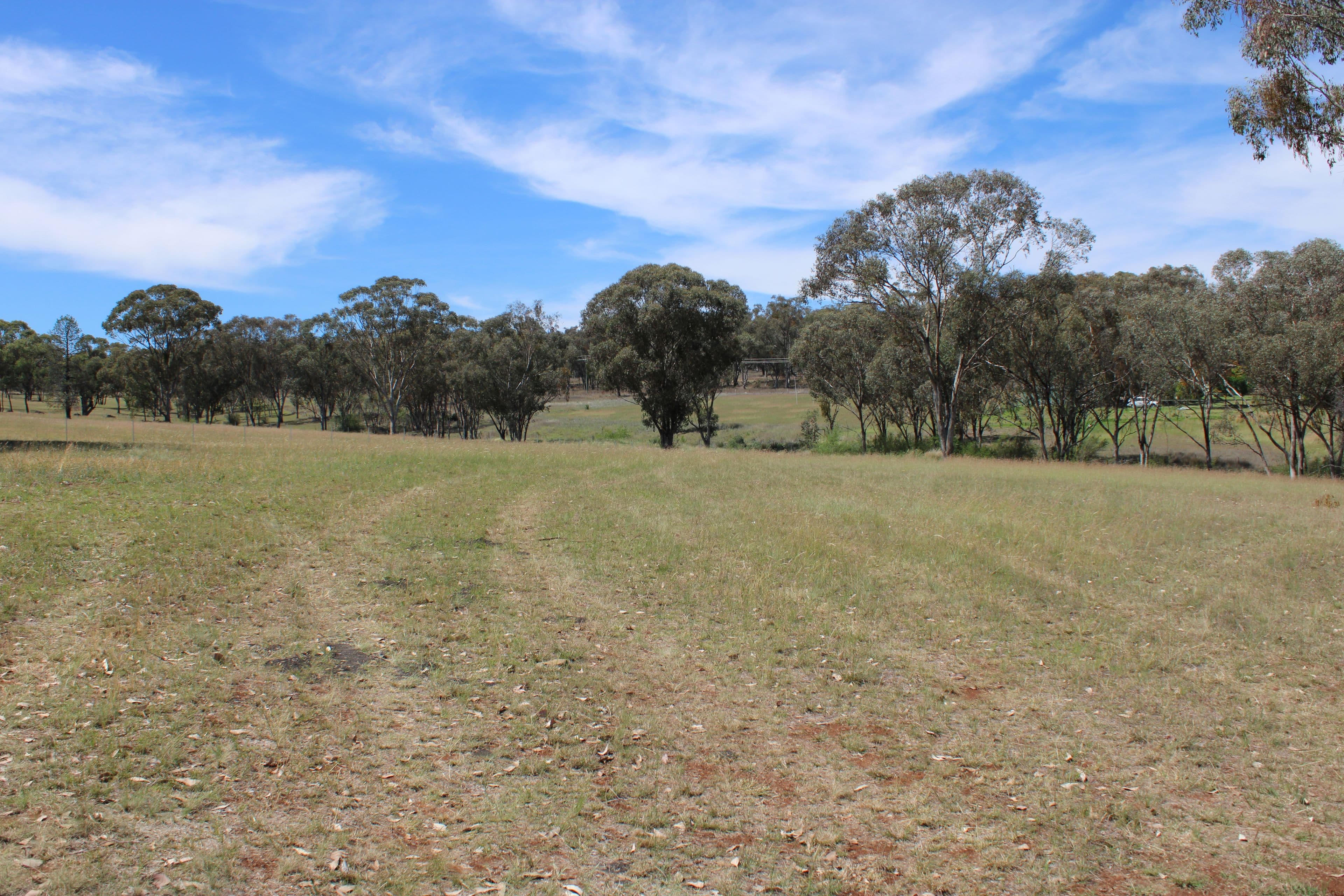 52 Bimbadeen Drive, Inverell NSW 2360, Inverell - Thumbnail 3