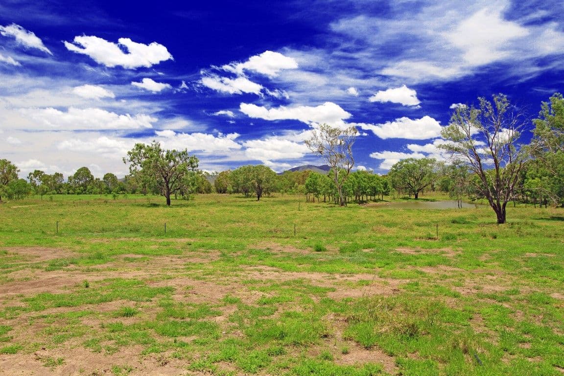 290 Six Mile Road, PINK LILY QLD 4702, Pink Lily - Thumbnail 6
