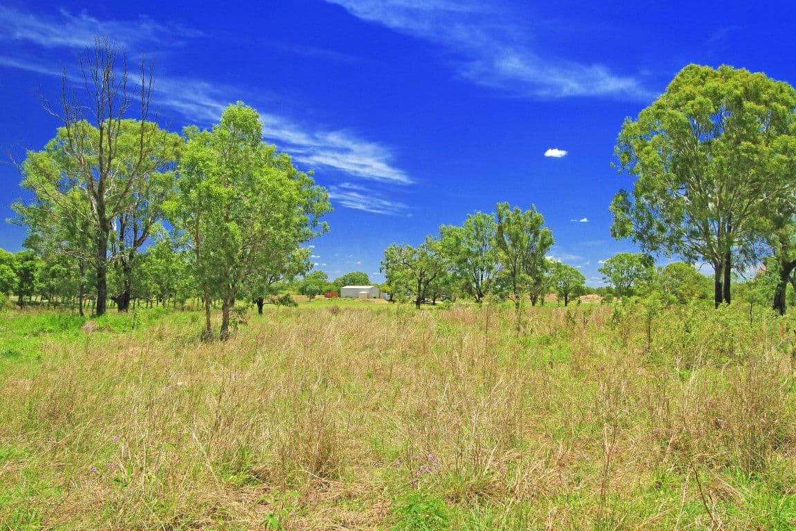 290 Six Mile Road, PINK LILY QLD 4702, Pink Lily - Thumbnail 7