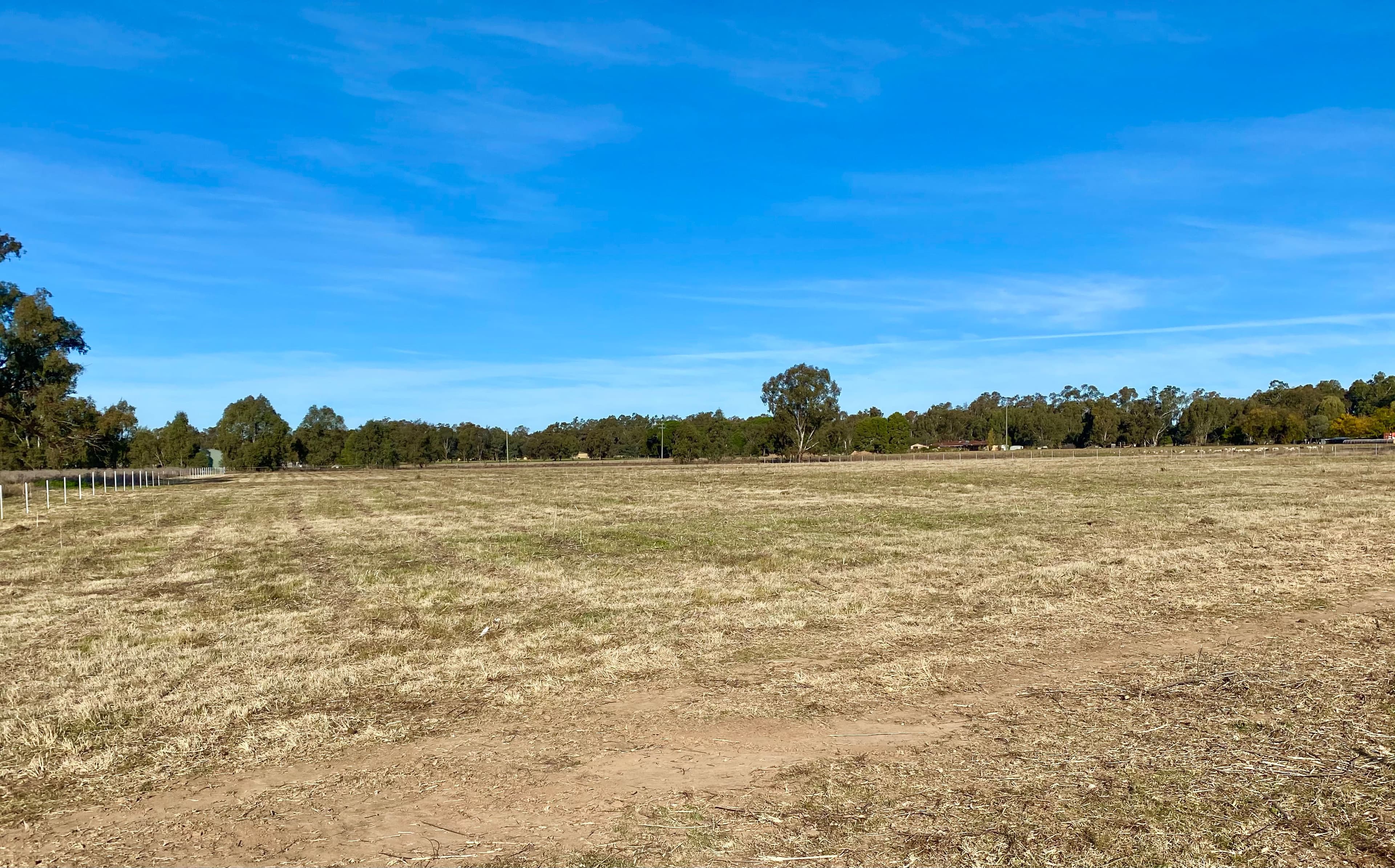 Lot 37 River Road, Forbes NSW 2871, Forbes - Thumbnail 3