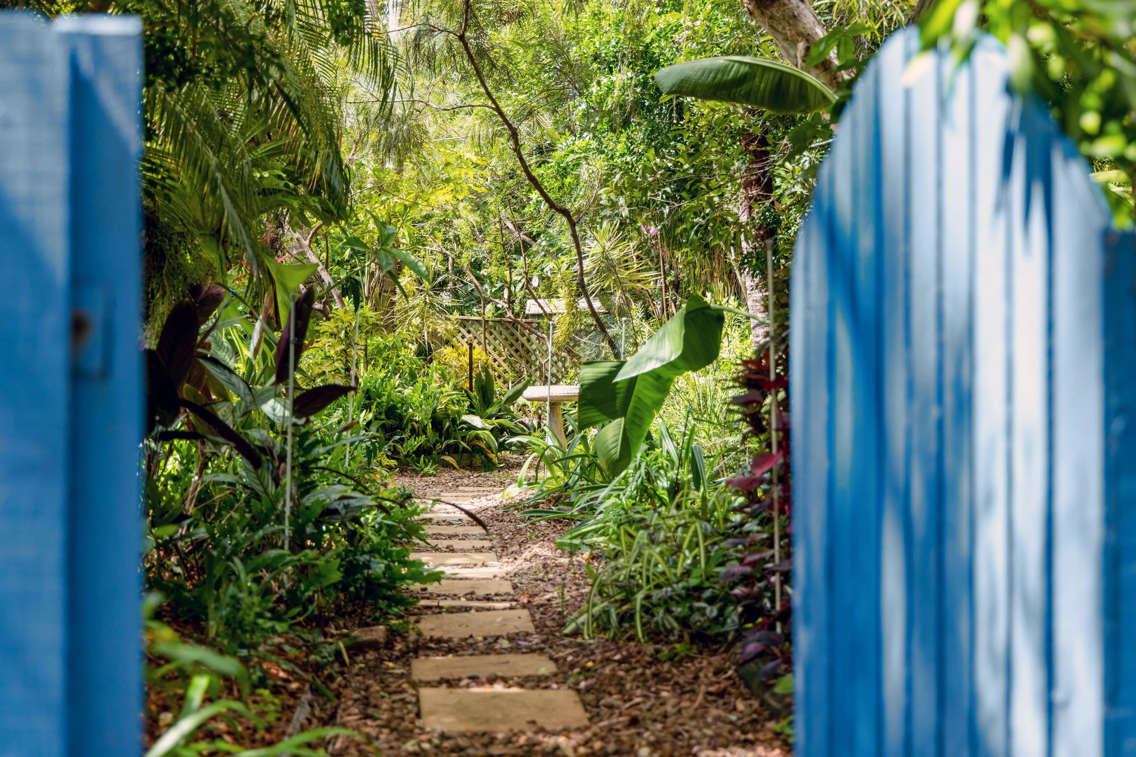 77 Bernarra Street, The Gap QLD 4061, The Gap - Thumbnail 2