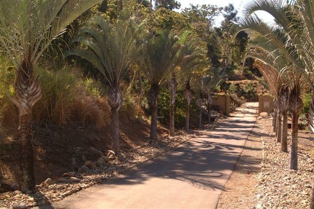 Lot 22 Botanica Drive, CANNONVALE QLD 4802, Cannonvale - Thumbnail 4