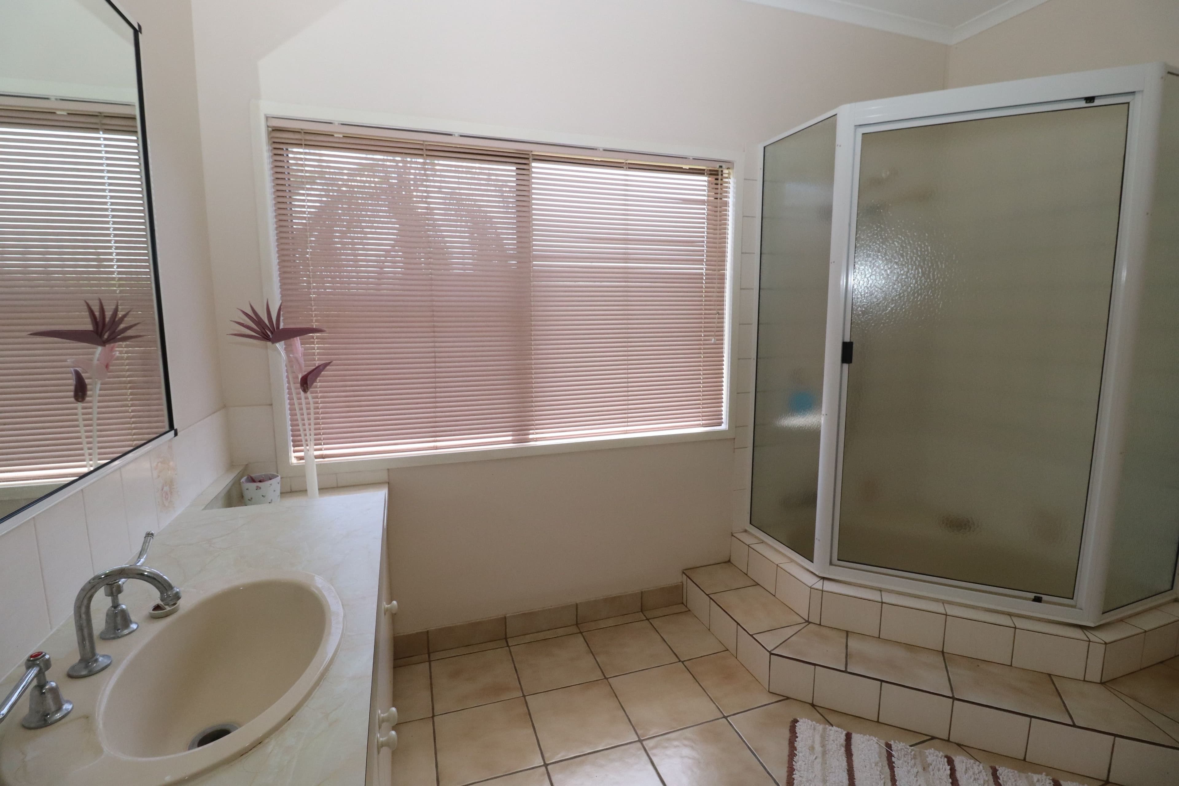 31 Scovazzis Road, Toobanna QLD 4850, Toobanna - Thumbnail 5