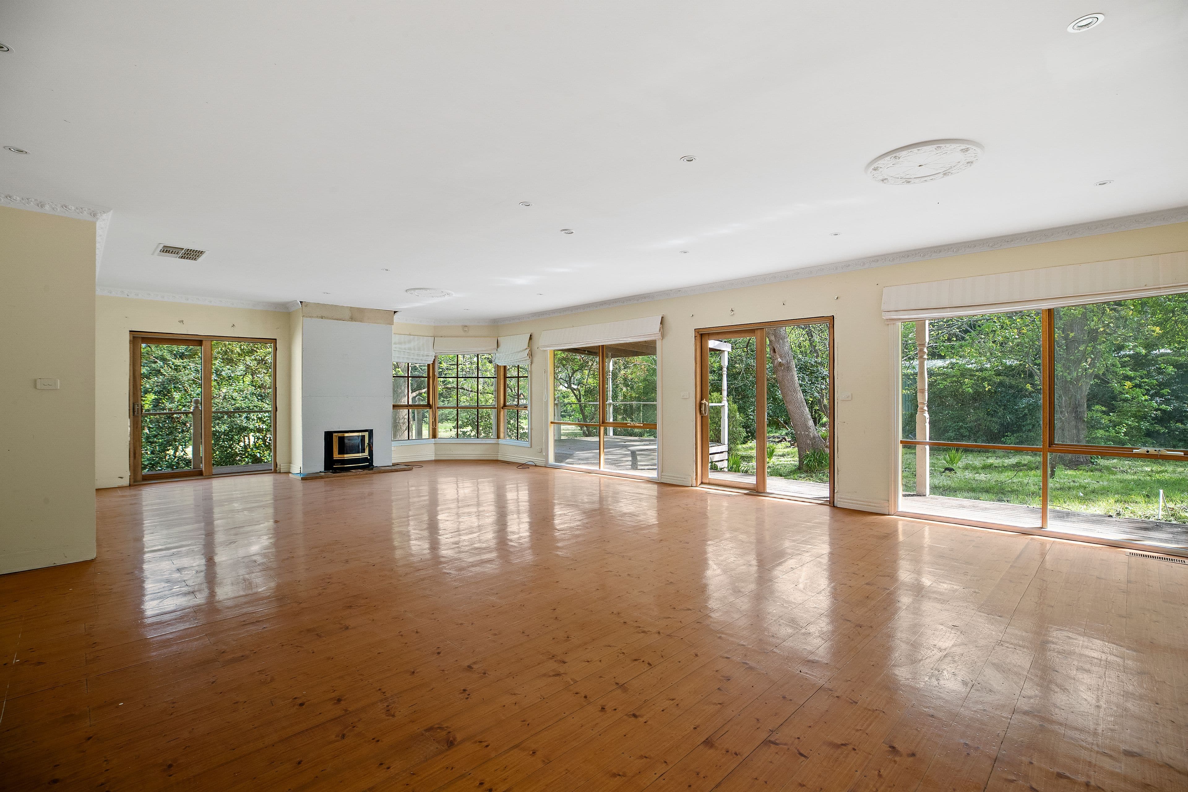 13 Edward Street, Upper Ferntree Gully VIC 3156, Upper Ferntree Gully - Thumbnail 5