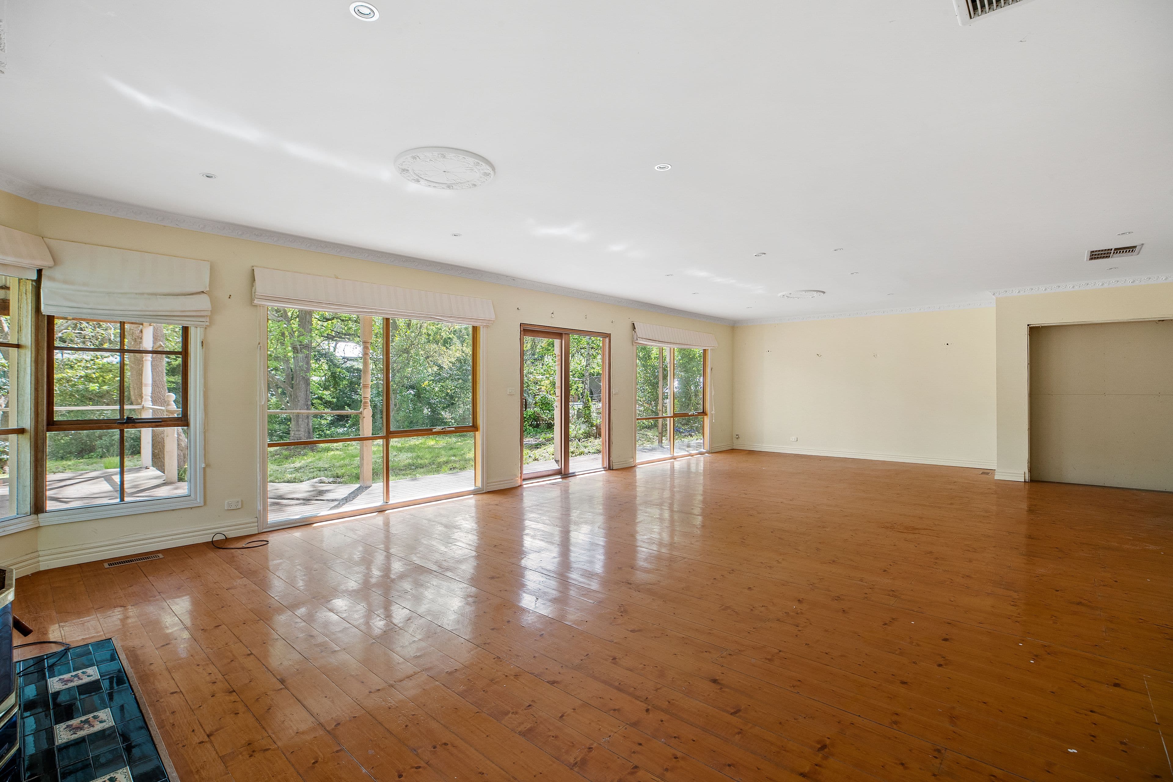 13 Edward Street, Upper Ferntree Gully VIC 3156, Upper Ferntree Gully - Thumbnail 6