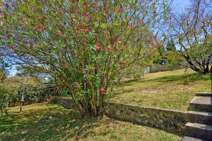 31 Warren Road, BELLEVUE HILL NSW 2023, Bellevue Hill - Thumbnail 3
