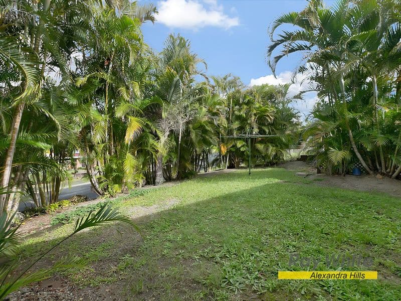 52 Frampton Street, Alexandra Hills QLD 4161, Alexandra Hills - Thumbnail 7