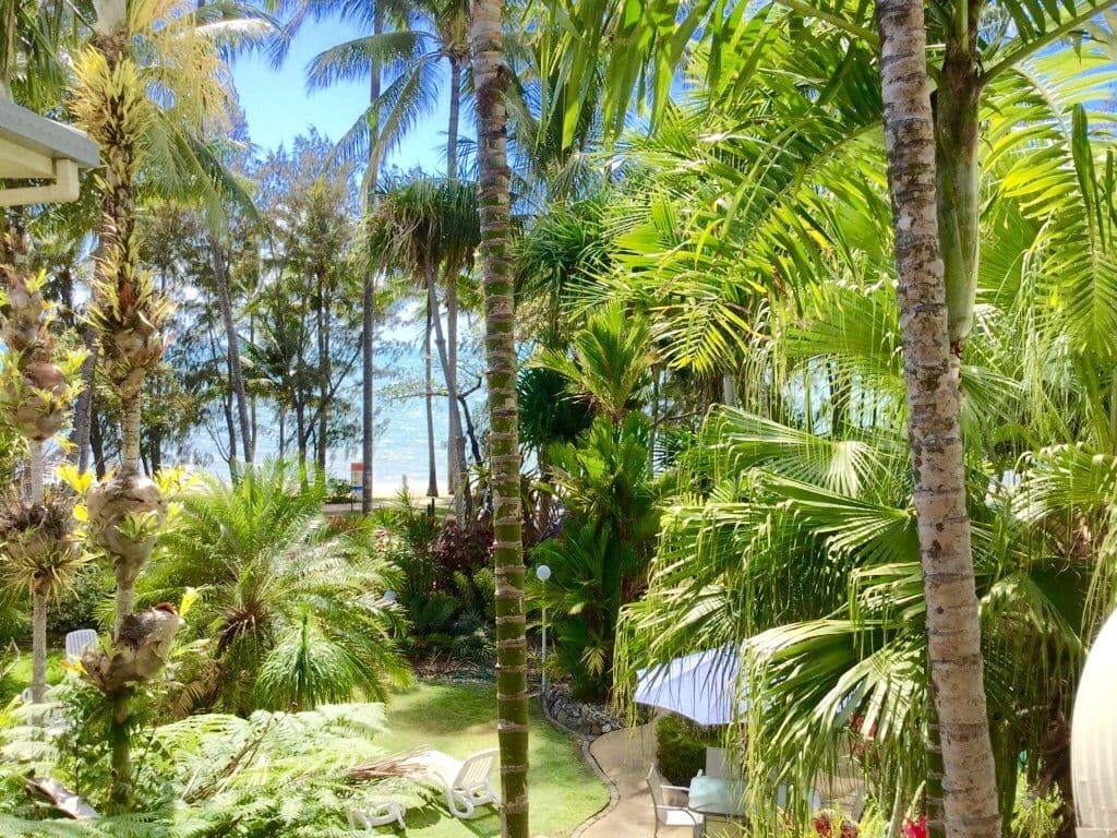 85-93 Williams Esplanade, Palm Cove QLD 4879, Palm Cove - Thumbnail 6