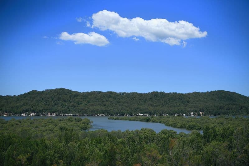 10 Bauhinia Drive, RUSSELL ISLAND QLD 4184, Russell Island - Thumbnail 2