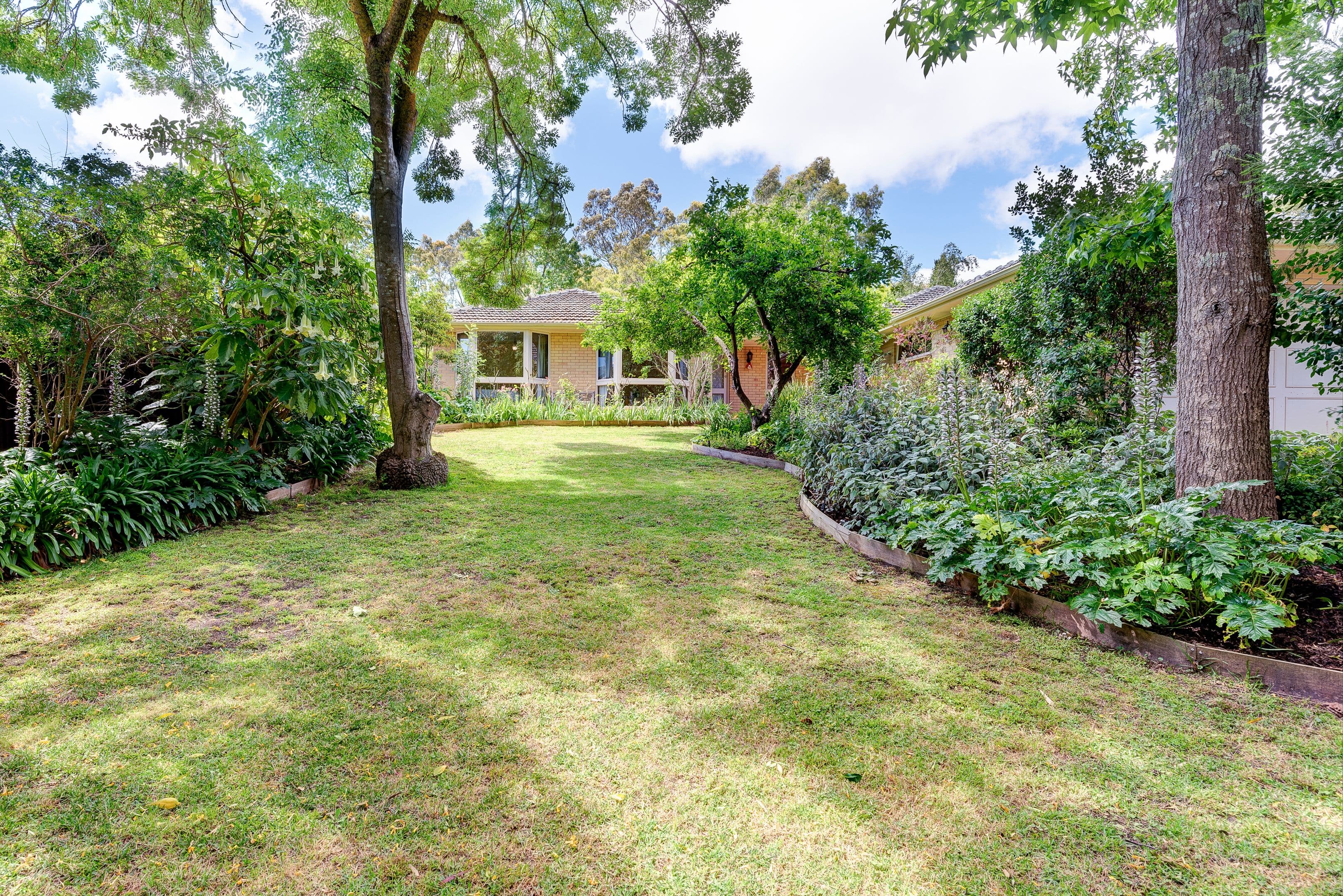 29 Suffolk Road, Hawthorndene SA 5051, Hawthorndene - Thumbnail 2