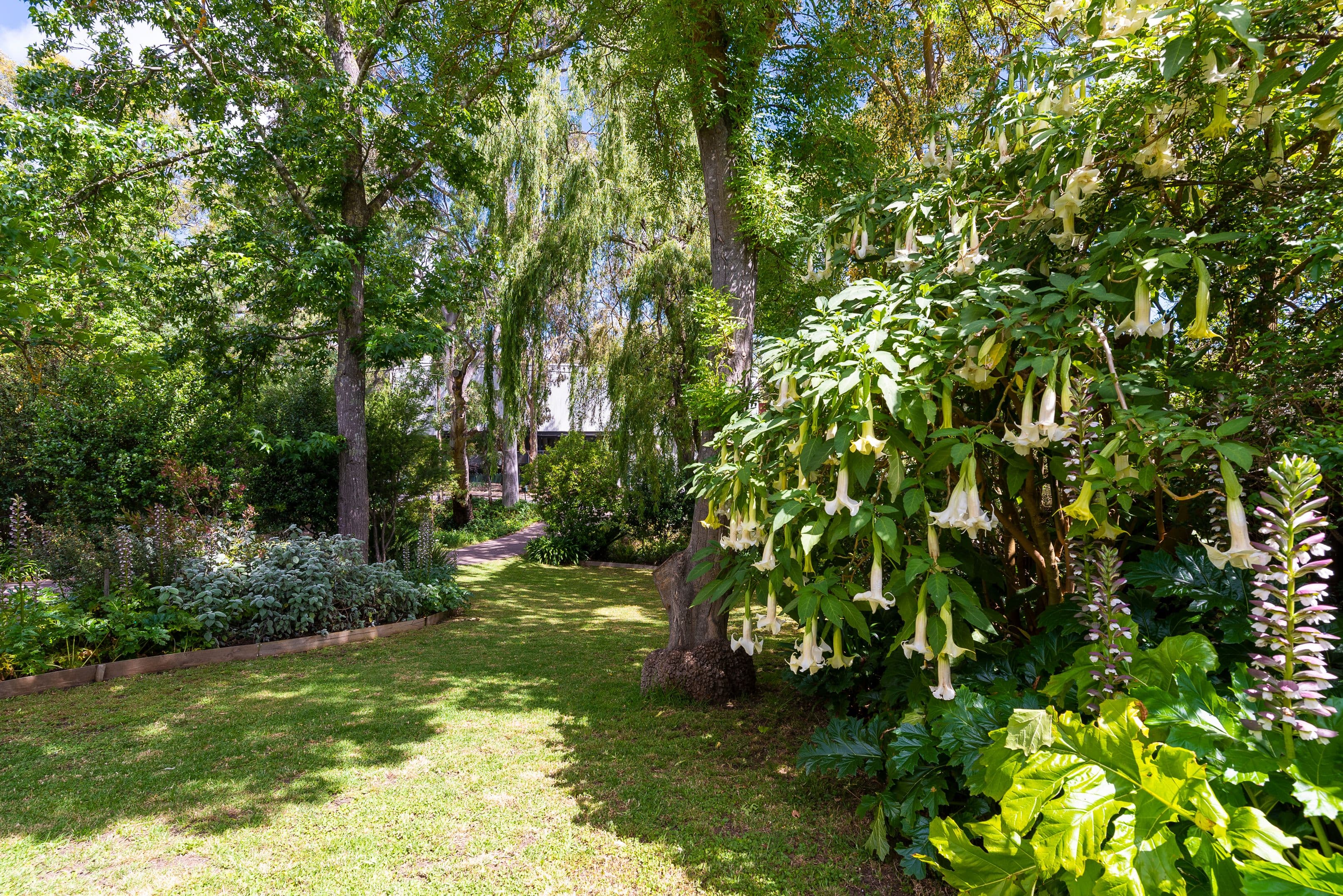 29 Suffolk Road, Hawthorndene SA 5051, Hawthorndene - Thumbnail 4