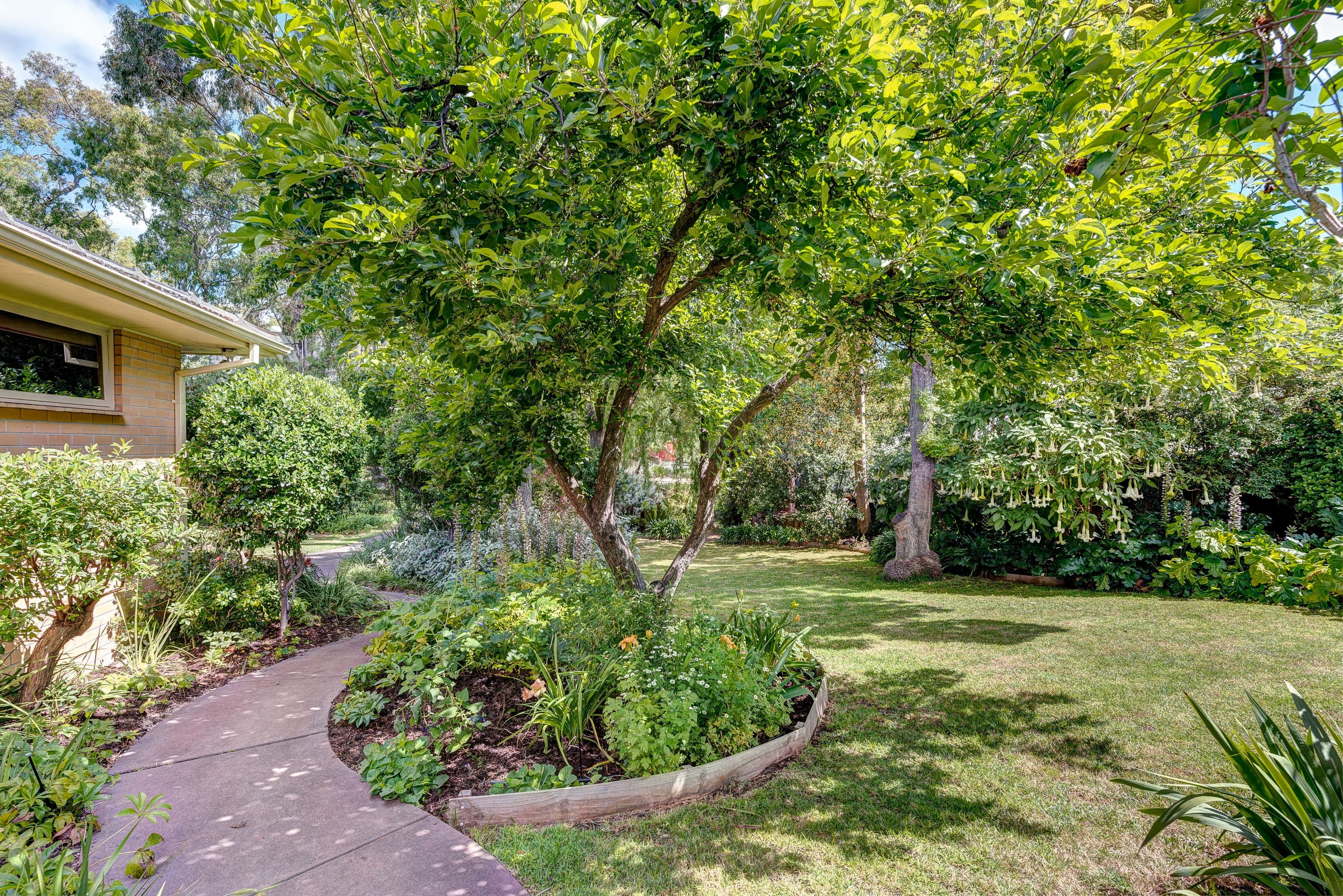 29 Suffolk Road, Hawthorndene SA 5051, Hawthorndene - Thumbnail 5