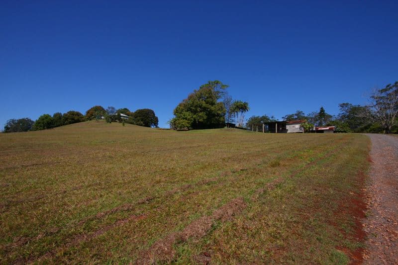130 Diddillibah Road, WOOMBYE QLD 4559, Woombye - Thumbnail 4