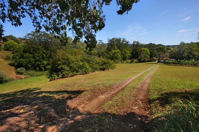 130 Diddillibah Road, WOOMBYE QLD 4559, Woombye - Thumbnail 6