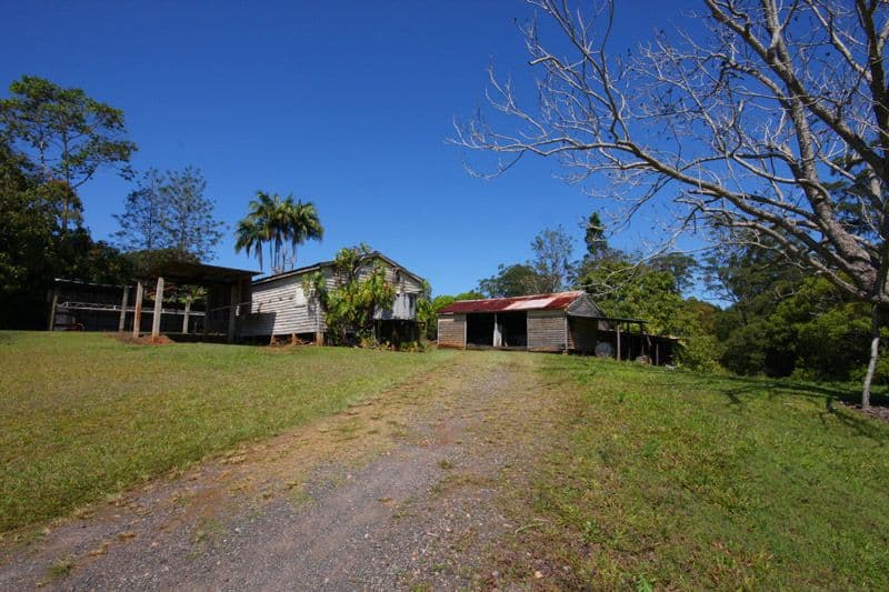 130 Diddillibah Road, WOOMBYE QLD 4559, Woombye - Thumbnail 8