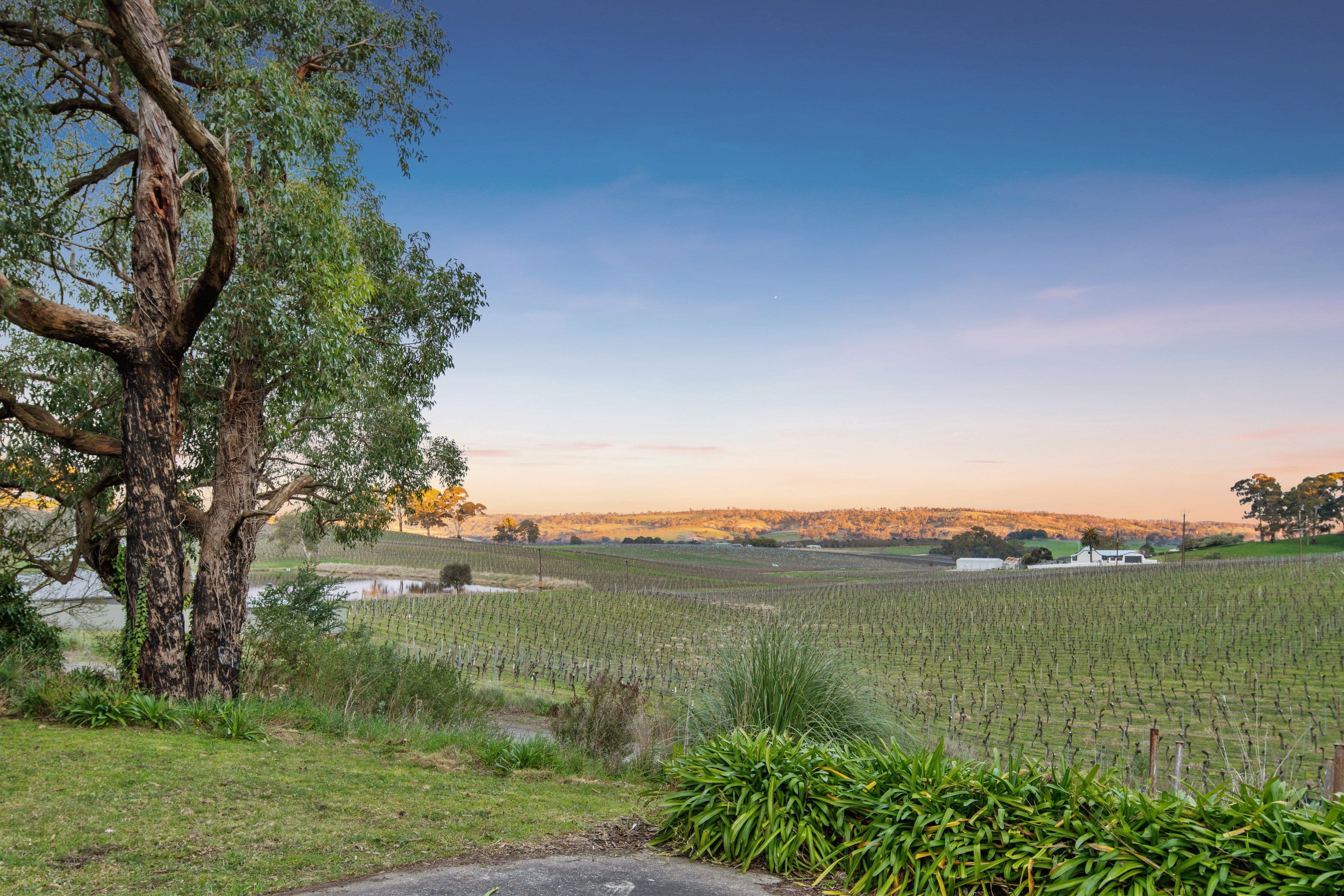 39 Mount Torrens Road, Lobethal SA 5241, Lobethal - Thumbnail 5