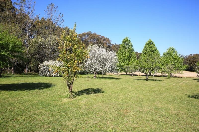125 Moss Vale Road, Cambewarra - Thumbnail 6