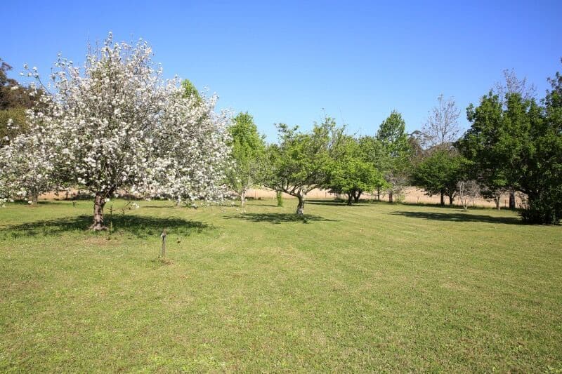 125 Moss Vale Road, Cambewarra - Thumbnail 8