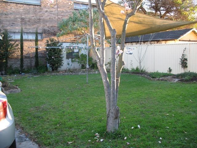 52 Victoria Street, GRANVILLE NSW 2142, Granville - Thumbnail 6
