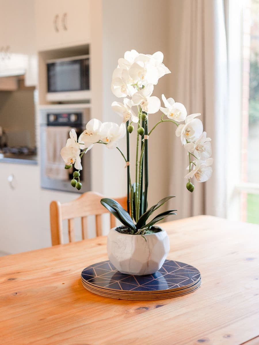8A Gladstone Street, Nairne SA 5252, Nairne - Thumbnail 3