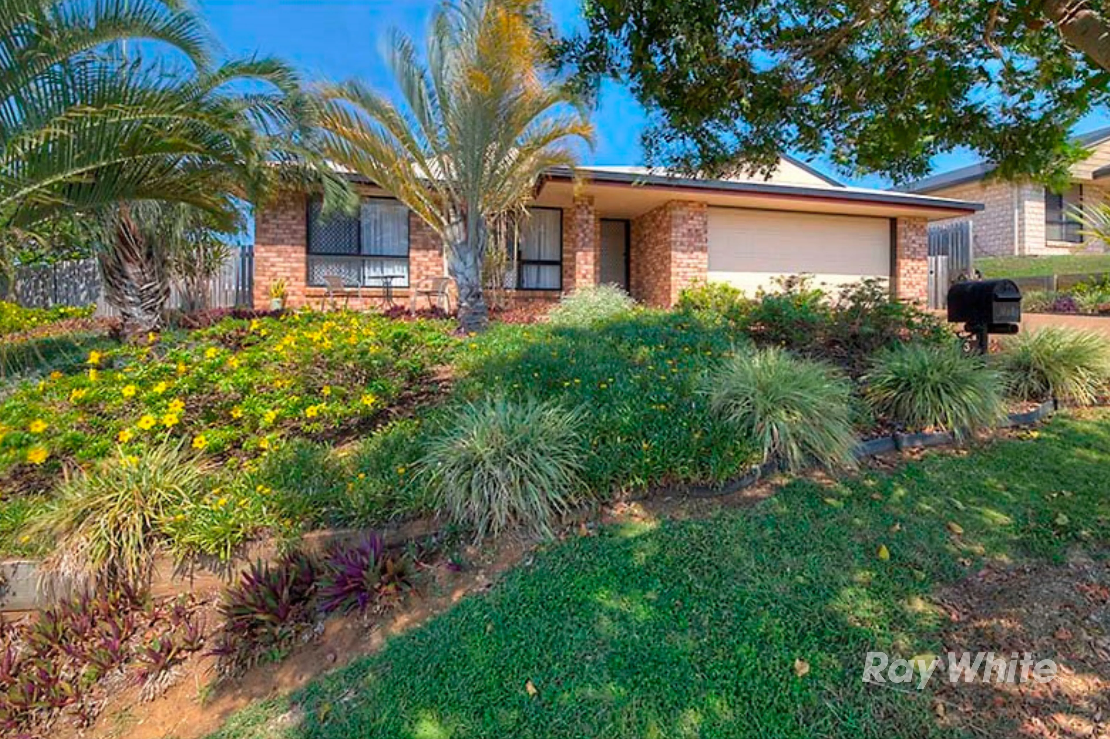 3 Barrington Court, Pacific Heights QLD 4703, Pacific Heights - Image 1
