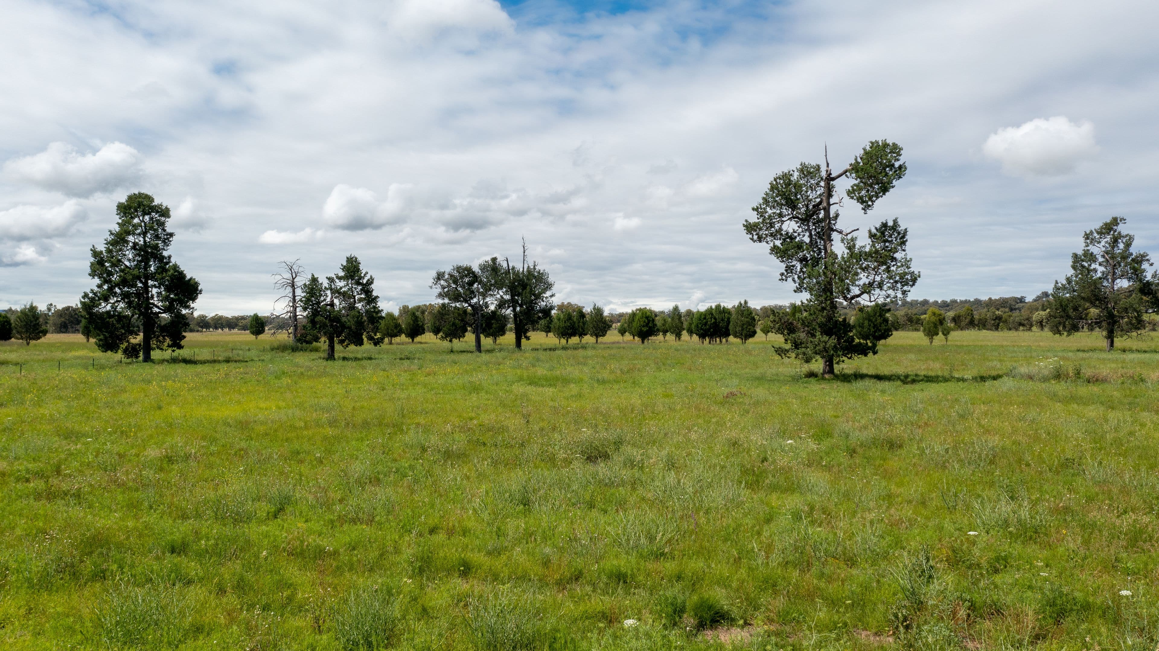 Quipolly Estate Werris Creek Road, Quirindi NSW 2343, Quirindi - Thumbnail 3