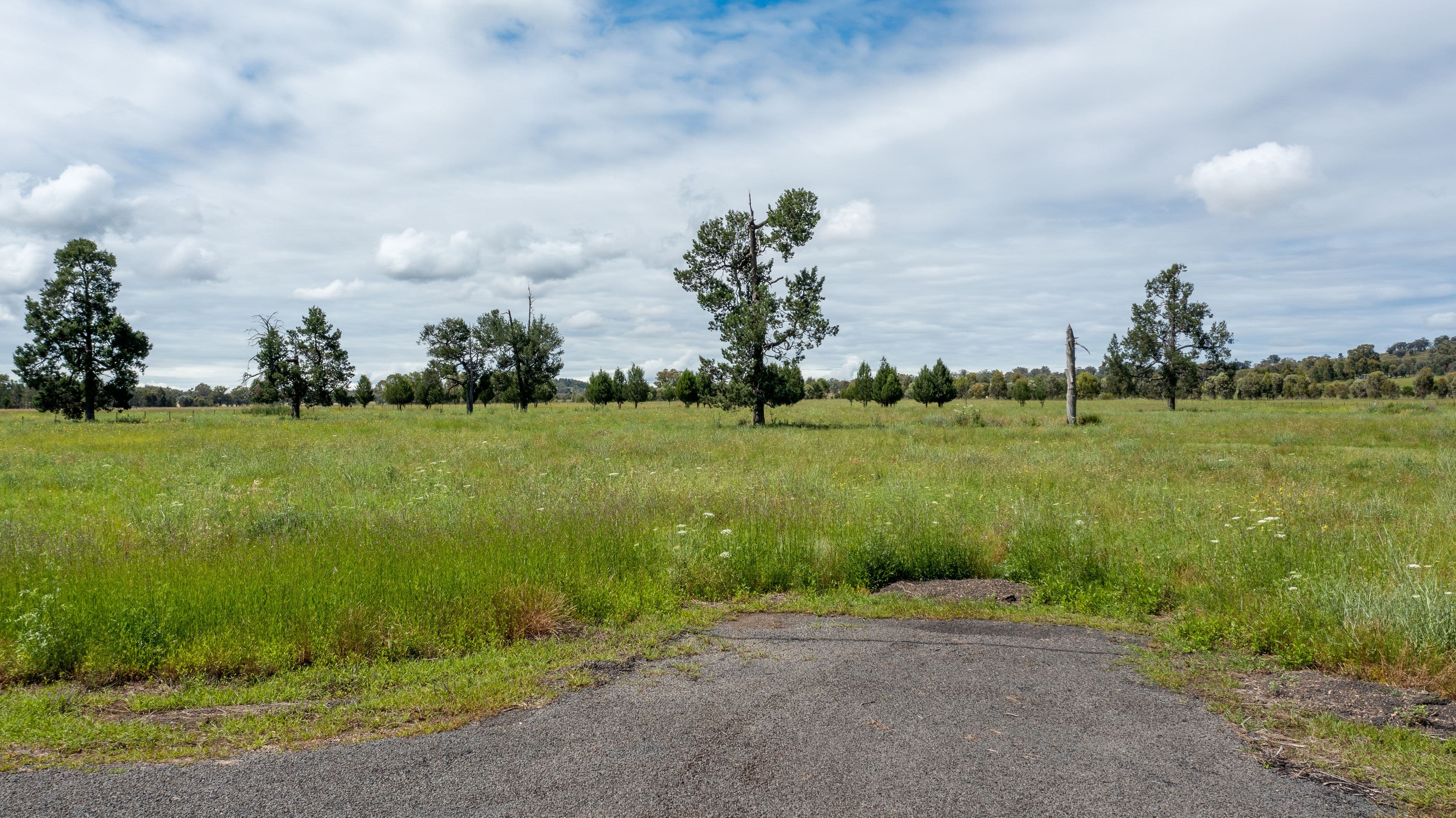 Quipolly Estate Werris Creek Road, Quirindi NSW 2343, Quirindi - Thumbnail 4