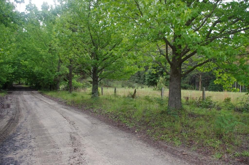 Lot 3 Sams Way, BILPIN NSW 2758, Bilpin - Image 1