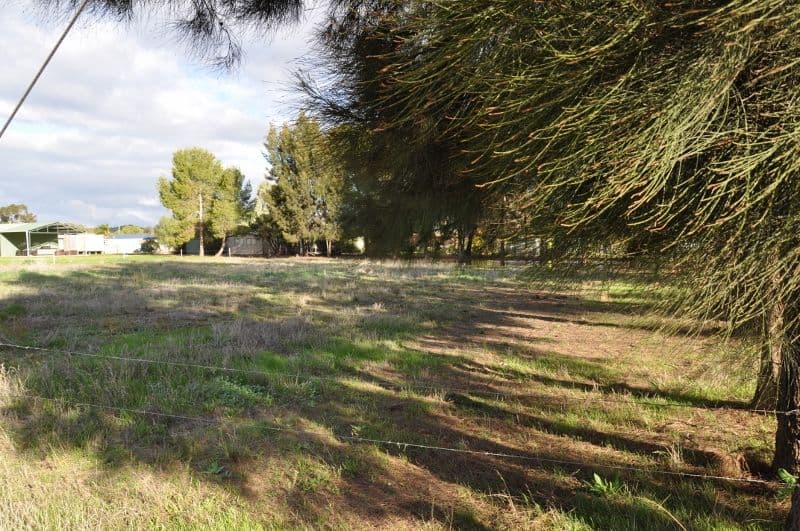 Lots 1,2,3 Evelyn Street, EUGOWRA NSW 2806, Eugowra - Image 1
