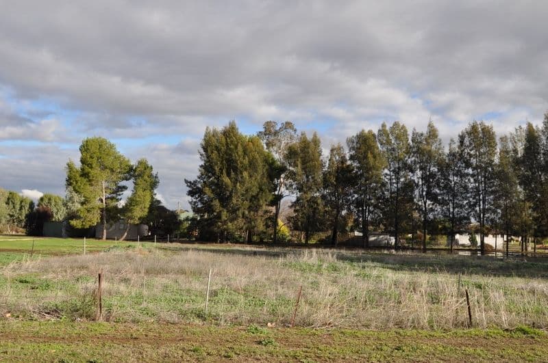 Lots 1,2,3 Evelyn Street, EUGOWRA NSW 2806, Eugowra - Thumbnail 2