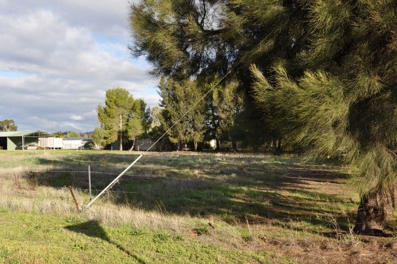 Lots 1,2,3 Evelyn Street, EUGOWRA NSW 2806, Eugowra - Thumbnail 4