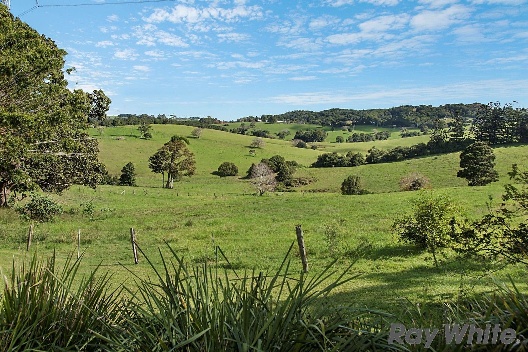 100 Kings Lane, Reesville QLD 4552, Reesville - Thumbnail 3