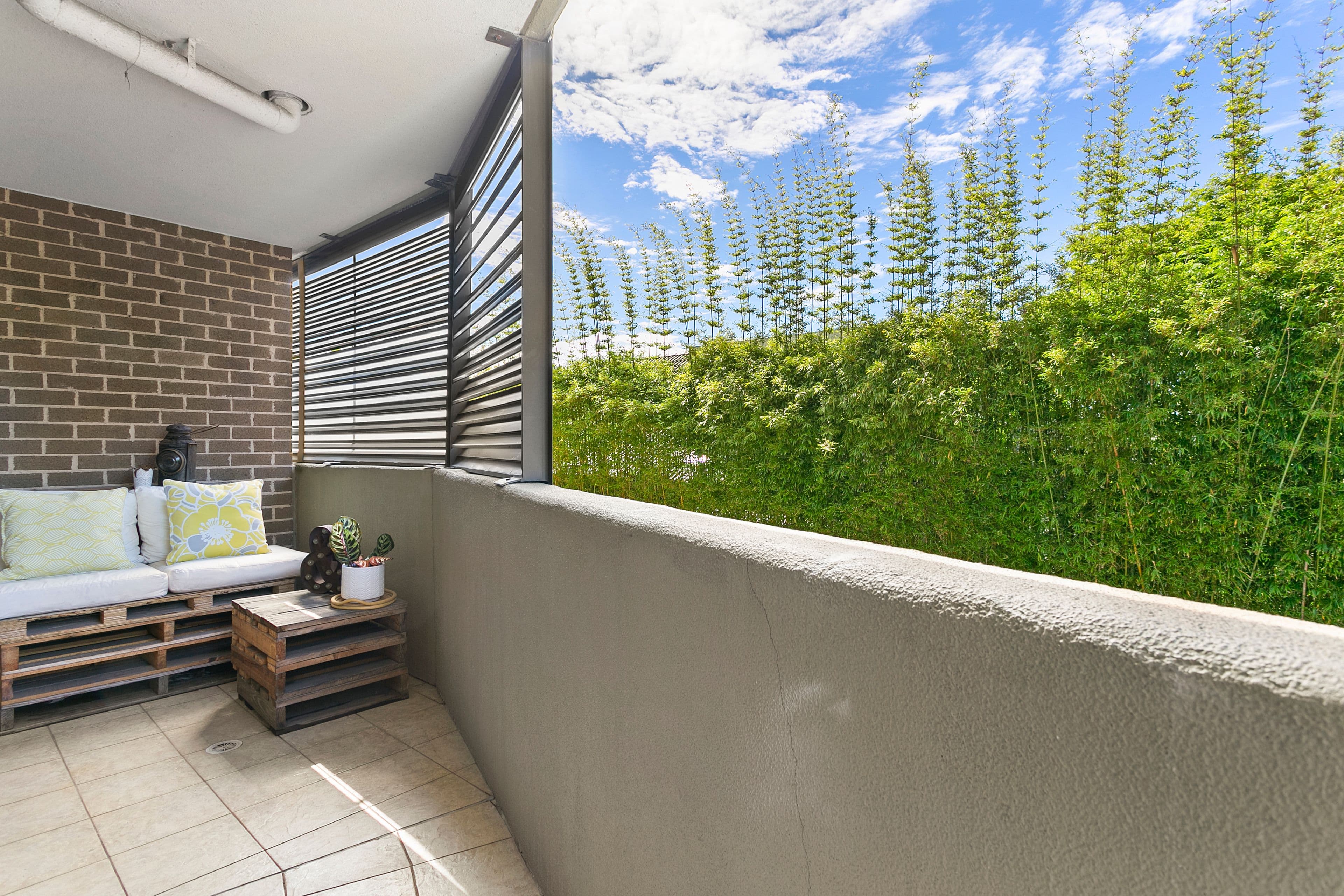 53 Frenchmans Road, Randwick NSW 2031, Randwick - Thumbnail 2