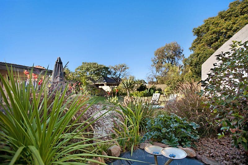 6 Day Avenue, BROADVIEW SA 5083, Broadview - Thumbnail 4