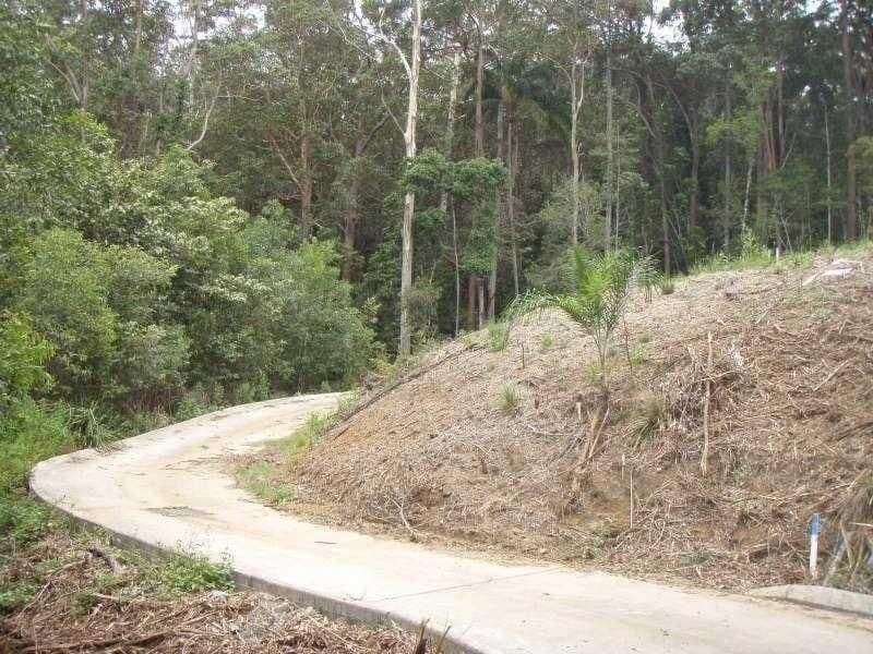 79 Martins Creek Road, Buderim QLD 4556, Buderim - Thumbnail 3